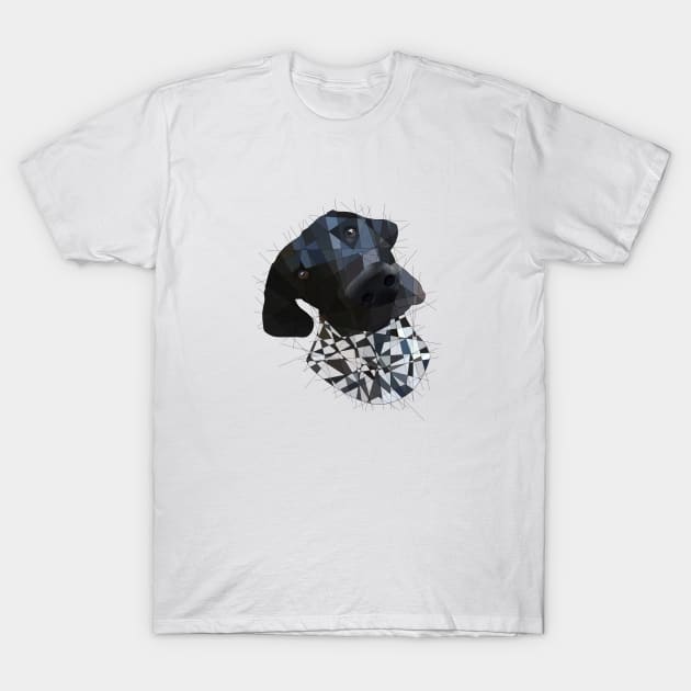 German Short Haired Pointer T-Shirt by Blacklightco